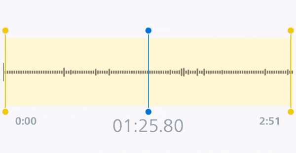 chose_section_for_trim.gif